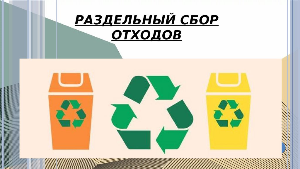 Экологический урок: «Раздельный сбор твердых отходов».